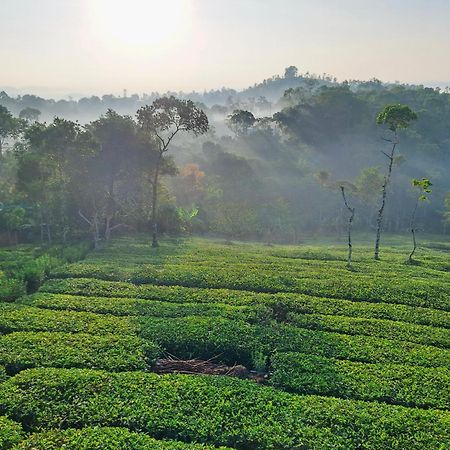 Best Mist Idukki Exterior foto