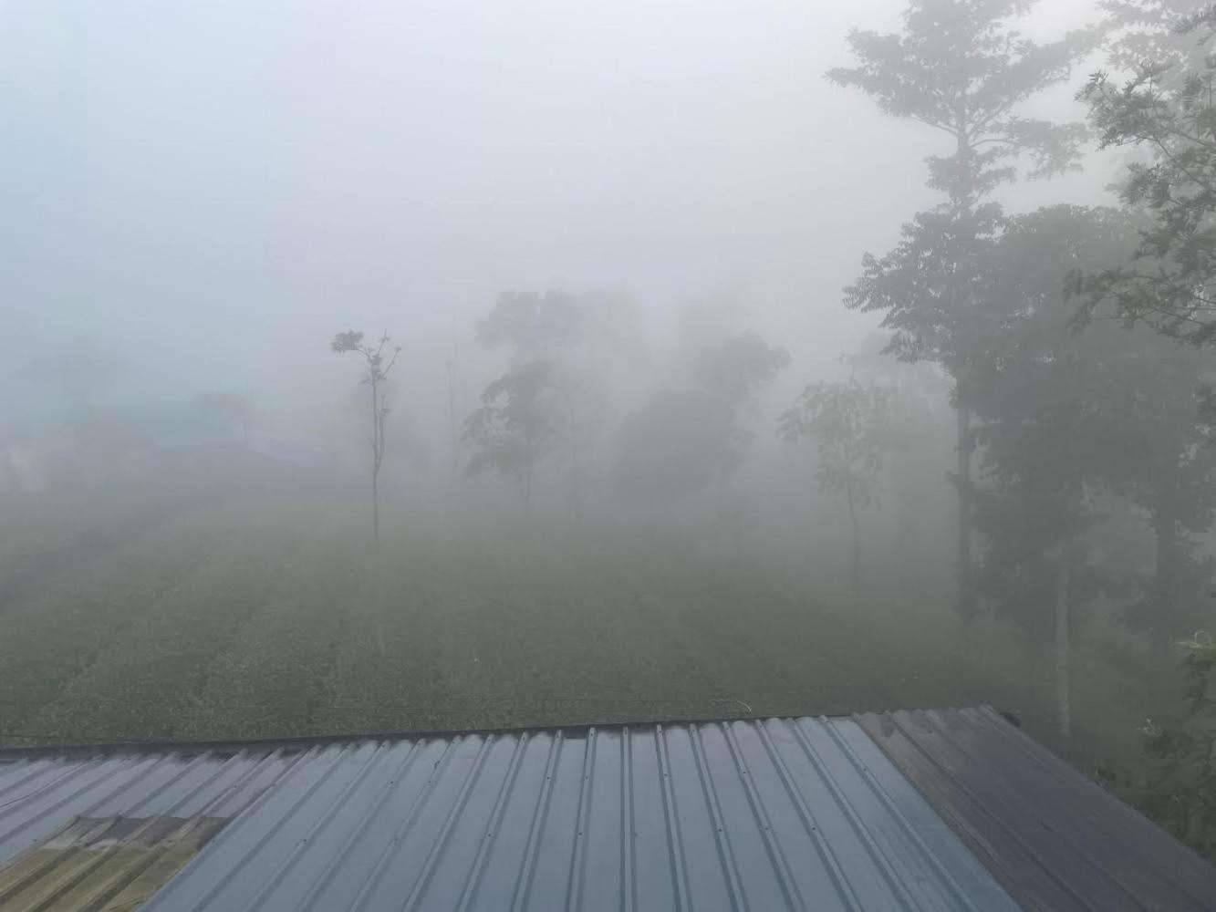 Best Mist Idukki Exterior foto