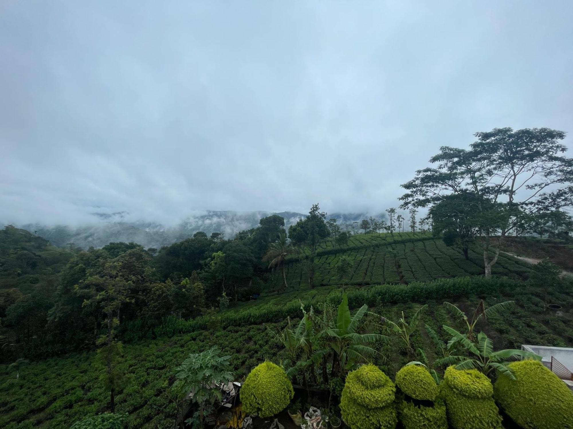 Best Mist Idukki Exterior foto